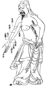 drawing showing different acupuncture spots