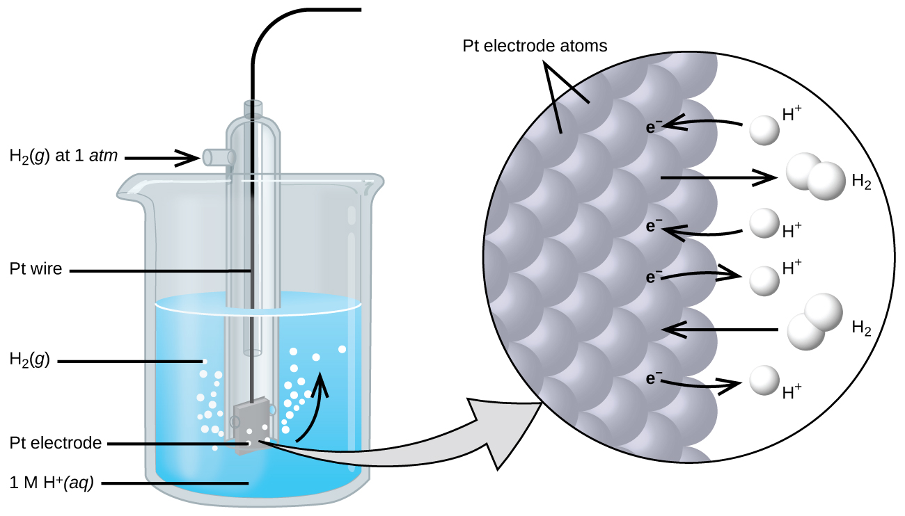 The figure shows a beaker just over half full of a blue liquid. A glass tube is partially submerged in the liquid. Bubbles, which are labeled “H subscript 2 ( g )” are rising from the dark grayquare, labeled “P t electrode” at the bottom of the tube. Below the bottom of the tube pointing to the solution in the beaker is the label “ 1 M H superscript plus ( a q).” A curved arrow points up to the right, indicating the direction of the bubbles. A black wire which is labeled “P t wire” extends from the dark grgrayare up the interior of the tube through a small port at the top. A second small port extends out the top of the tube to the left. An arrow points to the port opening from the left. The base of this arrow is labeled “H subscript 2 ( g ) at 1 a t m.” A light greygray points to a diagram in a circle at the right that illustrates the surface of the P t electrode in a magnified view. P t atoms are illustrated as a uniform cluster of grey sgray which are labeled “P t electrode atoms.” On the grey atograyace, the label “e superscript negative” is shown 4 times in a nearly even vertical distribution to show electrons on the P t surface. A curved arrow extends from a white sphere labeled “H superscript plus” at the right of the P t atoms to the uppermost electron shown. Just below, a straight arrow extends from the P t surface to the right to a pair of linked white spheres which are labeled “H subscript 2.” A curved arrow extends from a second white sphere labeled “H superscript plus” at the right of the P t atoms to the second electron shown. A curved arrow extends from the third electron on the P t surface to the right to a white sphere labeled “H superscript plus.” Just below, an arrow points left from a pair of linked white spheres which are labeled “H subscript 2” to the P t surface. A curved arrow extends from the fourth electron on the P t surface to the right to a white sphere labeled “H superscript plus.”