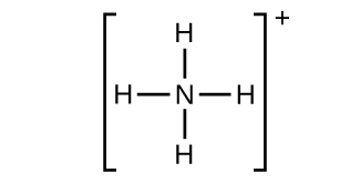 A Lewis structure shows a nitrogen atom single bonded to four hydrogen atoms. The structure is surrounded by brackets with a superscripted positive sign.