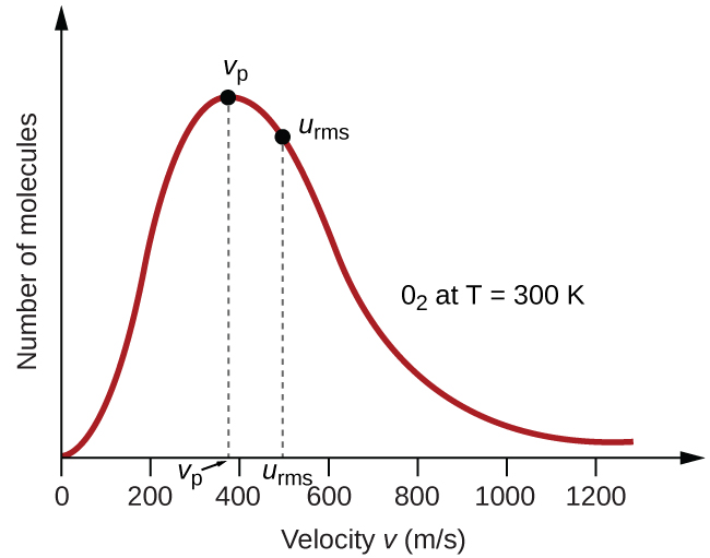 A graph is shown. The horizontal axis is labeled, “Velocity v ( m divided by s ).” This axis is marked by increments of 20 beginning at 0 and extending up to 120. The vertical axis is labeled, “Fraction of molecules.” A positively or right-skewed curve is shown in red which begins at the origin and approaches the horizontal axis around 120 m per s. At the peak of the curve, a point is indicated with a black dot and is labeled, “v subscript p.” A vertical dashed line extends from this point to the horizontal axis at which point the intersection is labeled, “v subscript p.” Slightly to the right of the peak a second black dot is placed on the curve. This point is labeled, “v subscript r m s.” A vertical dashed line extends from this point to the horizontal axis at which point the intersection is labeled, “v subscript r m s.” The label, “O subscript 2 at T equals 300 K” appears in the open space to the right of the curve.