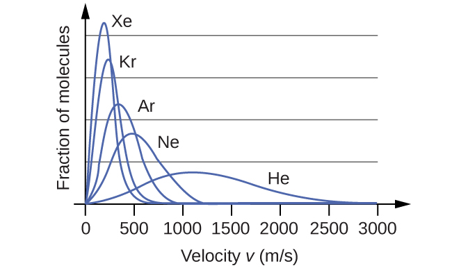 A graph is shown with four positively or right-skewed curves of varying heights. The horizontal axis is labeled, “Velocity v ( m divided by s ).” This axis is marked by increments of 500 beginning at 0 and extending up to 3000. The vertical axis is labeled, “Fraction of molecules.” The tallest and narrowest of these curves is labeled, “X e.” Its right end appears to touch the horizontal axis around 600 m per s. It is followed by a slightly wider curve which is labeled, “A r,” that is about half the height of the initial curve. Its right end appears to touch the horizontal axis around 900 m per s. The third curve is significantly wider and just over a third of the height of the initial curve. It is labeled, “N e.” Its right end appears to touch the horizontal axis around 1200 m per s. The final curve is only about one fourth the height of the initial curve. It is much wider than the others, so much so that its right reaches the horizontal axis around 2500 m per s. This curve is labeled, “H e.”