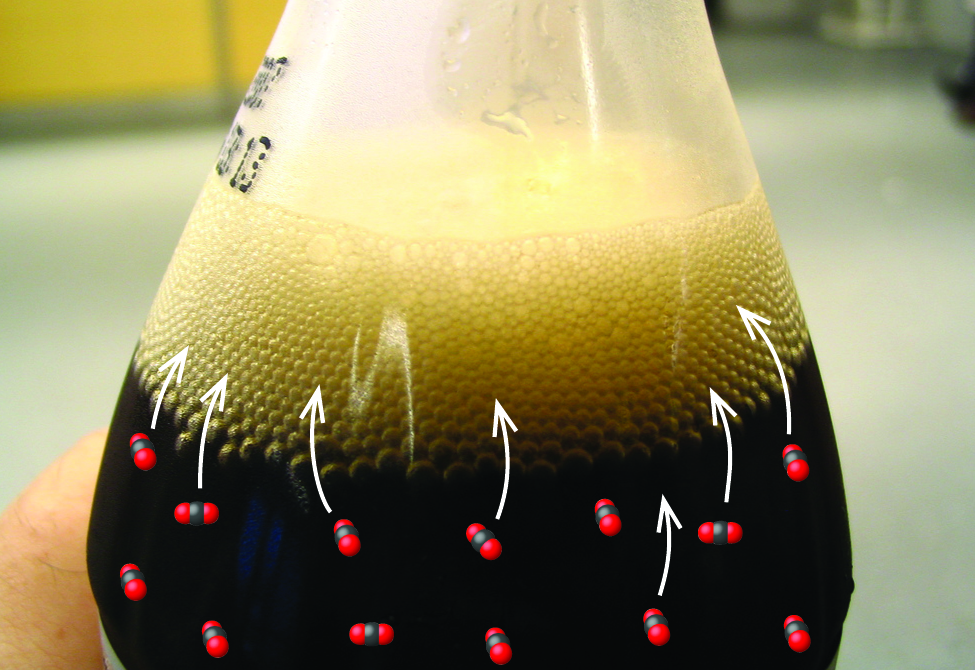 A dark brown liquid is shown in a clear, colorless container. A thick layer of beige bubbles appear at the surface of the liquid. In the liquid, thirteen small clusters of single black spheres with two red spheres attached to the left and right are shown. Red spheres represent oxygen atoms and black represent carbon atoms. Seven white arrows point upward in the container from these clusters to the bubble layer at the top of the liquid.