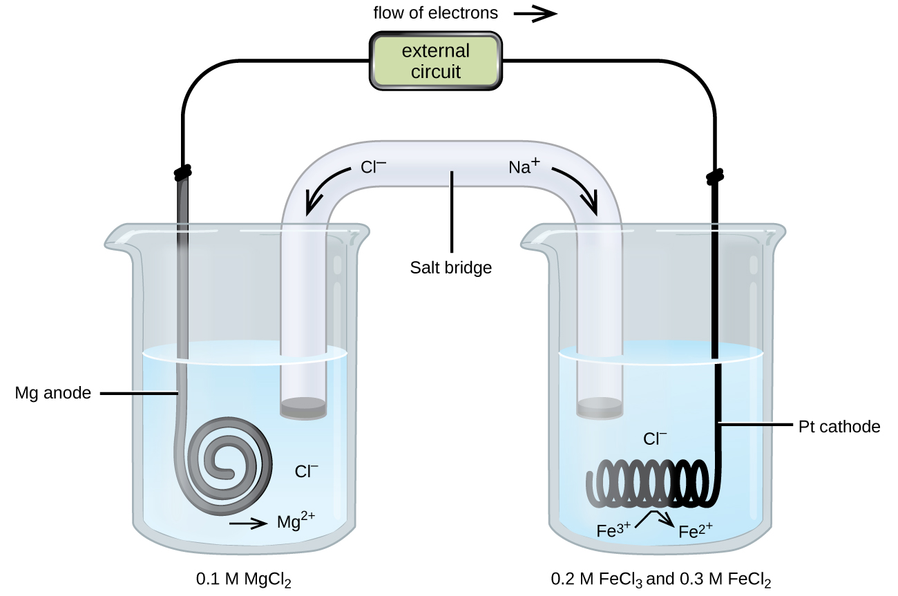This figure contains a diagram of an electrochemical cell. Two beakers are shown. Each is just over half full. The beaker on the left contains a colorless solution. The beaker on the right also contains a colorless solution. A glass tube in the shape of an inverted U connects the two beakers at the center of the diagram. The tube contents are colorless. The ends of the tubes are beneath the surface of the solutions in the beakers and a small gray plug is present at each end of the tube. At the center of the diagram, the tube is labeled “Salt bridge.” Each beaker shows a metal coils submerged in the liquid. The beaker on the left has a thin, gray, coiled strip that is labeled “M g anode.” The beaker on the right has a black wire that is oriented horizontally and coiled up in a spring-like appearance that is labeled “P t cathode.” Below the coil is the label “F e superscript 3 plus” with a curved right arrowing pointing from that to the label “F e superscript 2 plus.” A wire extends across the top of the diagram that connects the ends of the M g strip and P t cathode just above the opening of each beaker. At the center of the wire above the two beakers is a rectangle labeled “external circuit.” Above the rectangle is the label “flow of electrons” followed by a right pointing arrow. An arrow points down and to the right from the label “N a superscript plus” at the upper right region of the salt bride. An arrow points down and to the left from the label “C l superscript negative” at the upper left region of the salt bride. Below the graylug at the left end of the salt bridge in the surrounding solution in the left beaker is the label “C l superscript negative.” Below the coil on this side is a right arrow and the label “M g superscript 2 plus.” The label “0.1 M M g C l subscript 2” appears beneath the left beaker. The label “0.2 M F e C l subscript 3 and 0.3 M F e C l subscript 2.” appears beneath the right beaker.
