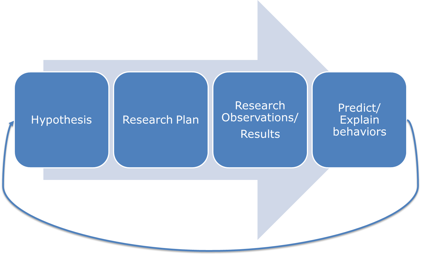 Graphic outlining the steps of the scientific process.