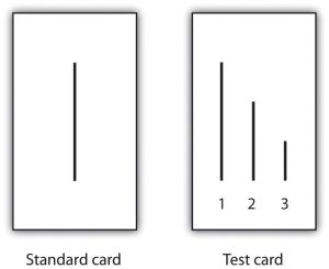 Standard card (line of a certain length), Test card (1-line of same length as standard card, 2-smaller line, 3-smallest line