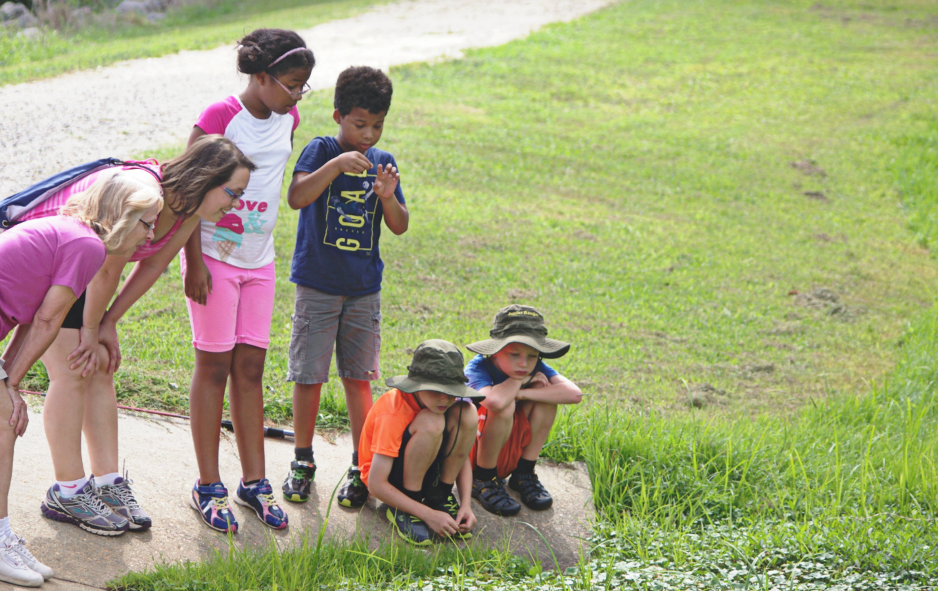 Kids on the bank of a pond looking in