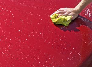person washing red car