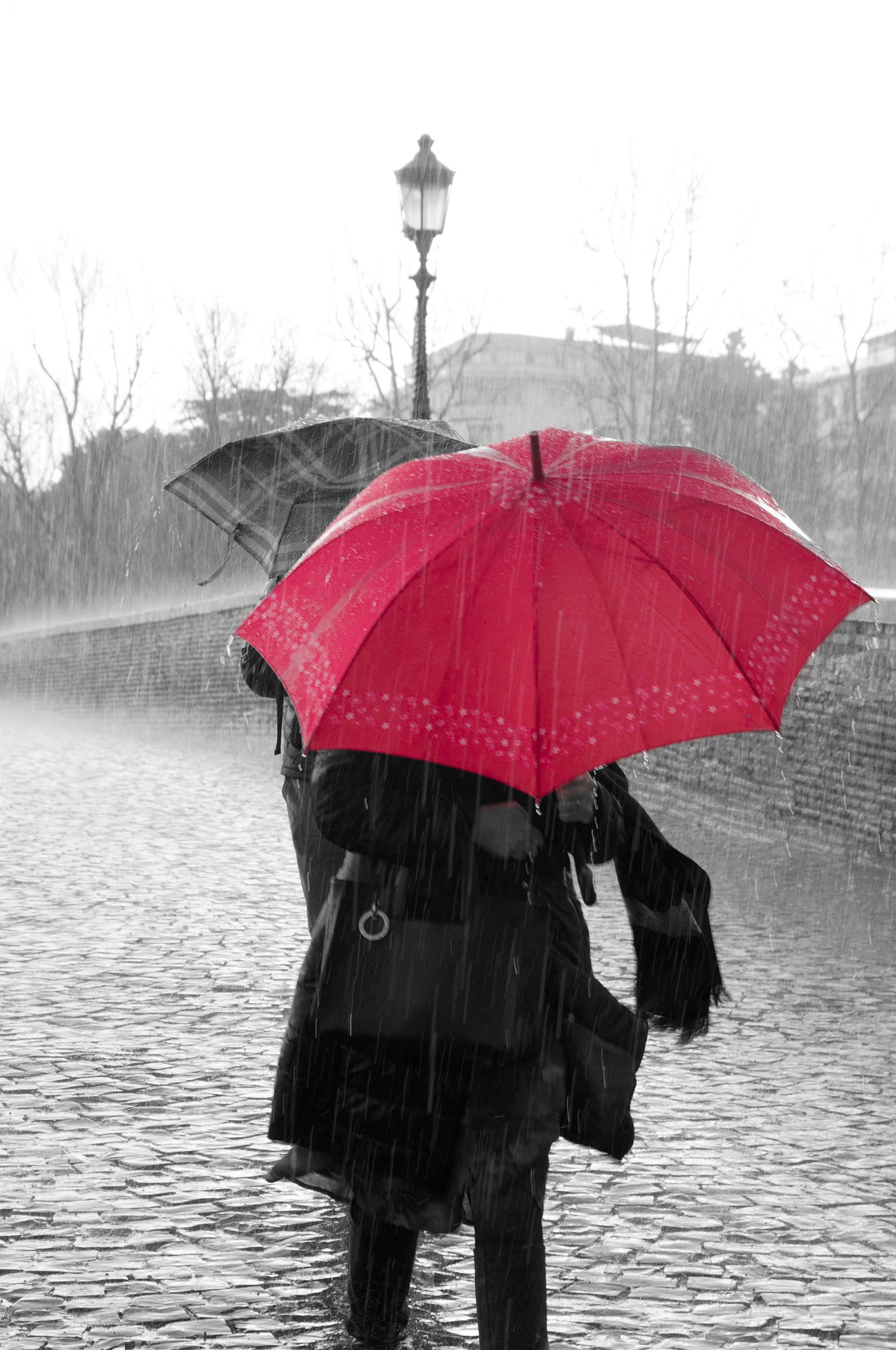 Girl in rain with umbrella