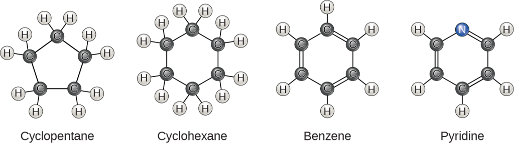 Four molecular structures are shown. Cyclopentane is a ring consisting of five carbons, each with two hydrogens attached. Cyclohexane is a ring of six carbons, each with two hydrogens attached. Benzene is a six-carbon ring with alternating double bonds. Each carbon has one hydrogen attached. Pyridine is the same as benzene, but a nitrogen is substituted for one of the carbons. No hydrogens are attached to the nitrogen.