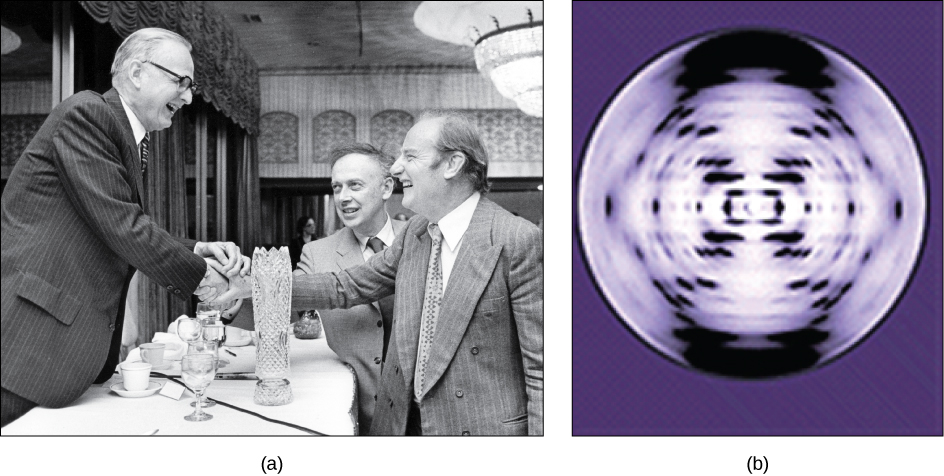 On the left, scientists James Watson, Francis Crick, and Maclyn McCarty are shown. On the right is an x-ray diffraction pattern of DNA.
