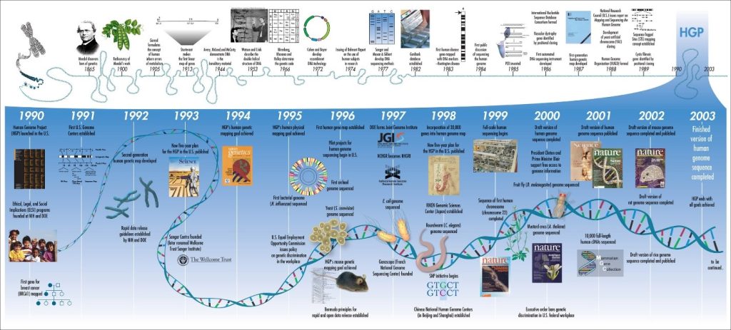 Timeline of genetic discoveries from genes by Gregor Mendel to the human genome project