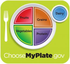 Healthy diet logo shows a plate divided into four sections, labeled fruits; vegetables; grains; and protein. The vegetables section is slightly larger than the other three. A circle to the side of the plate is labeled dairy. Beneath the plate is the web address, which reads Choose My Plate dot gov.