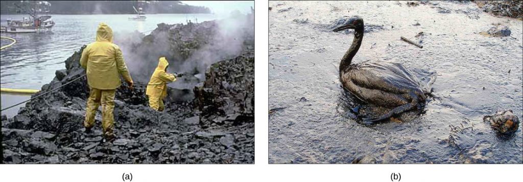 Part a: This photo shows two men in yellow raingear hosing off oil-drenched rocks on a sea-shore. Part b: This photo shows an oil-drenched bird sitting in oily water.