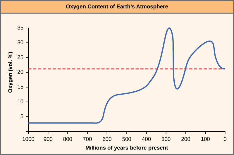 The chart shows the percent oxygen by volume in the Earth’s atmosphere. Until 625 million years ago, there was virtually no oxygen. Oxygen levels began to rapidly climb around this time, and peaked around 275 million years ago, at about 35 percent. Between 275 and 225 million years ago, oxygen levels dropped precipitously to about 15 percent, and then climbed again and dropped to the modern-day concentration of 22 percent.