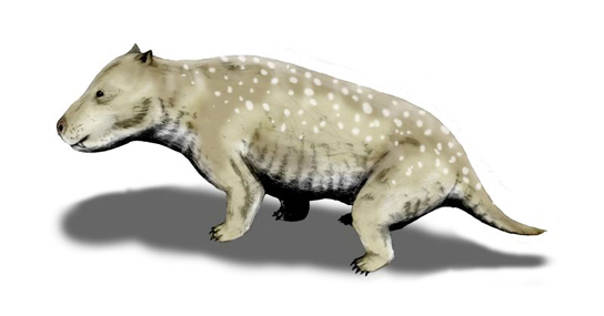 The illustration shows an animal resembling a short-haired dog.