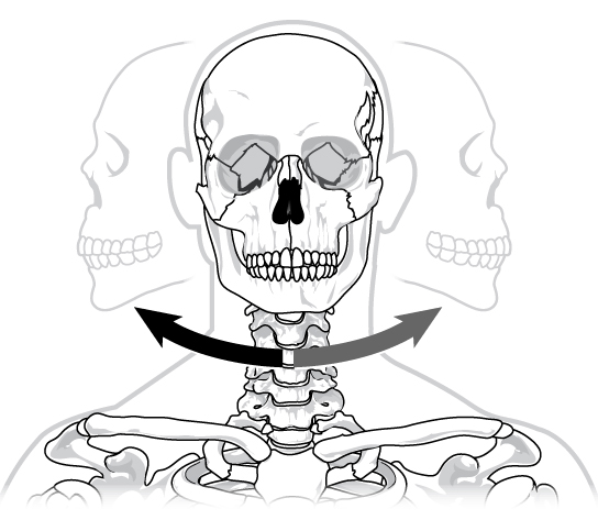 Illustration shows a human skull twisting left and right on the neck in a pivot-like motion.