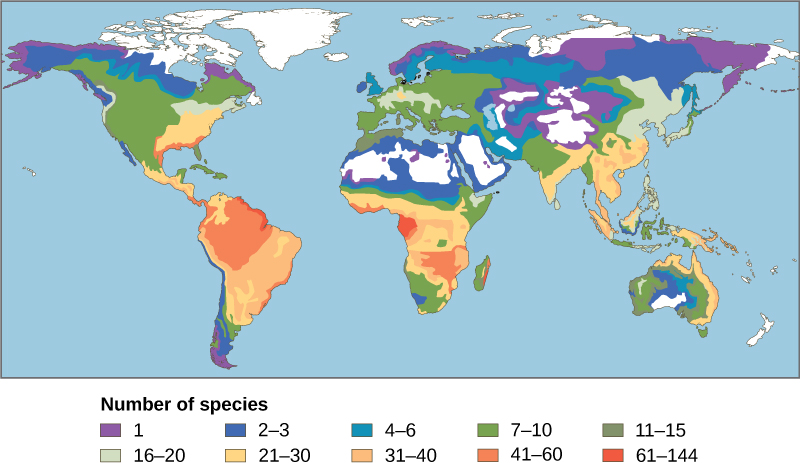 The number of amphibian species in different areas is specified on a world map. The greatest number of species, 61-144, are found in the Amazon region of South America and in parts of Africa. Between 21 and 60 species are found in other parts of South America and Africa, and in the eastern United States and Southeast Asia. Other parts of the world have between 1 and 20 amphibian species, with the fewest species occurring at northern and southern latitudes. Generally, more amphibian species are found in warmer, wetter climates.