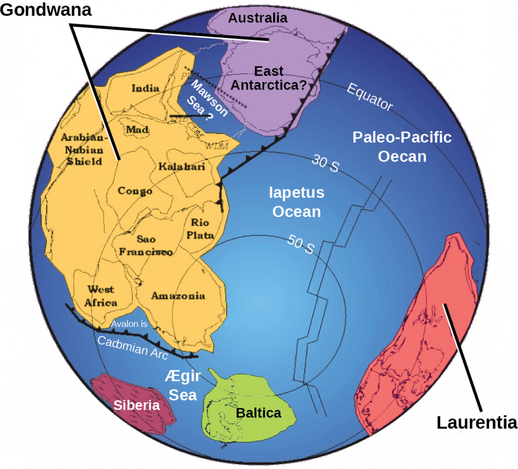 A world map shows two continents, Gondwana and Laurentia, which are shaped very differently from the continents of today. Gondwana was made up of two smaller subcontinents separated by a narrow sea. One continent contained modern Antarctica, and the other contained parts of Africa.