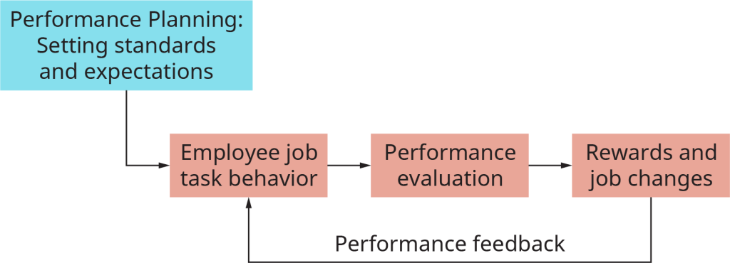 The chart starts with a box labeled performance planning; setting standards and expectations. This flows into employee job task behavior. This flows into performance evaluation. This flows into rewards and job changes. From here, the process flows back to employee job task behavior, and is labeled performance feedback.