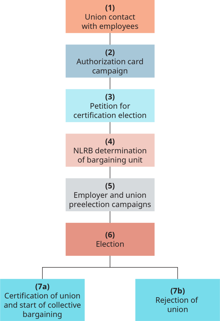 The steps are numbered 1 through 7. 1, union contact with employees. 2, authorization card campaign. 3, petition for certification election. 4, N L R B determination of bargaining unit. 5, employer and union pre election campaigns. 6, election. 7 a, certification of union and start of collective bargaining. 7 b, rejection of union.