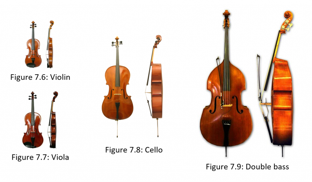 Multiple types of Violin