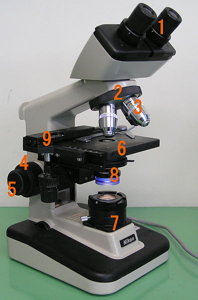Light Compound Microscope with 7 parts labeled to correspond to the ocular lens (eyepiece); revolving nosepiece; objective lens; coarse adjustment knob; fine adjustment knob; stage; lamp; condenser; and mechanical stage