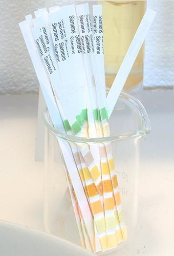 A beaker containing multiple diastix glucose detection strip. Diastix glucose detection strips are test indicators for concentrations of glucose.