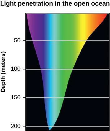 This graph shows the light penetration in the open ocean as a spectrum of color from violet to red.
