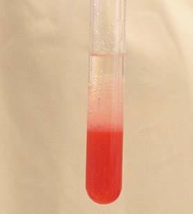strawberry liquid in a vial