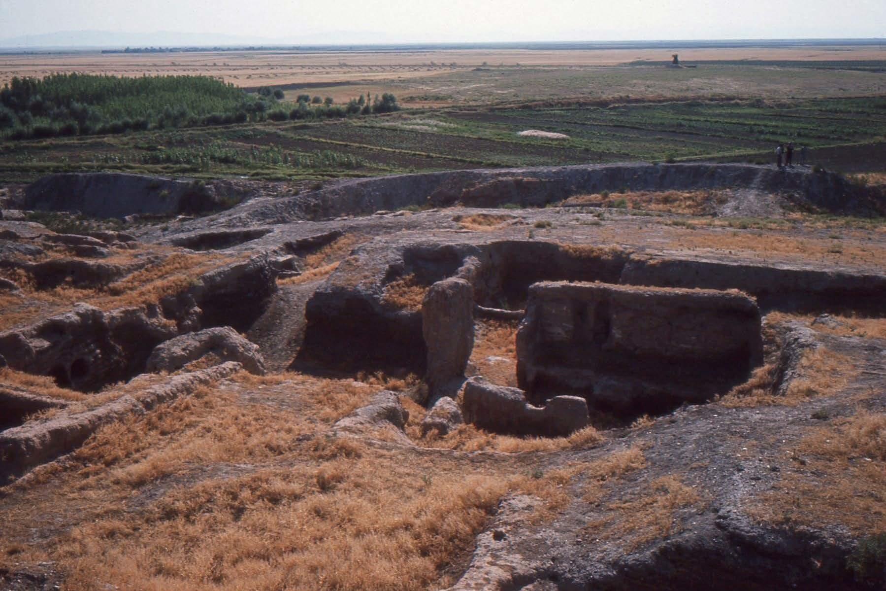 Stone remains of Çatalhüyük at the Time of the First Excavations