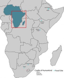 Map of Africa showing the early hominid fossil sites in Taung, Johannesburg, Ledi-Geraru, Hadar, Turkana Basin, Olduvai Gorge, and the Cradle of Humankind which includes Malapa, Rising Star, and Sterkfontein