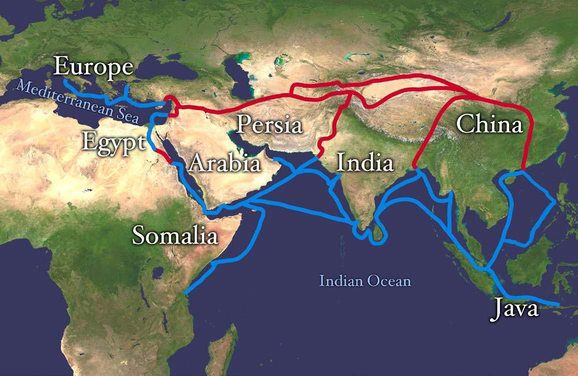 Map of some of the major Indian Ocean and Silk Road trade routes that linked India to the rest of Afro-Eurasia