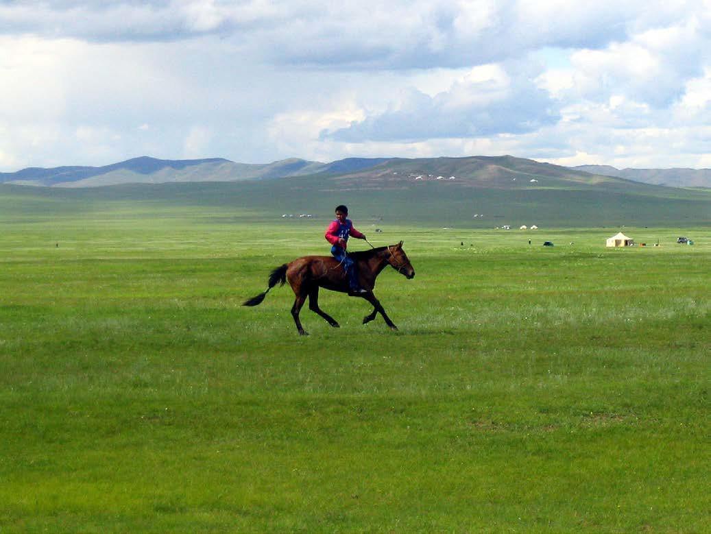 A Naadam Boy Riding a Mongol Horse on the Mongolian Steppe