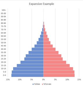 expansive example of population pyramid