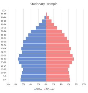 stationary example of population pyramid