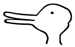 Drawing of a duck