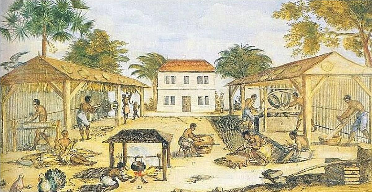 Image shows a tobacco plantation with people working in sheds in front of a house
