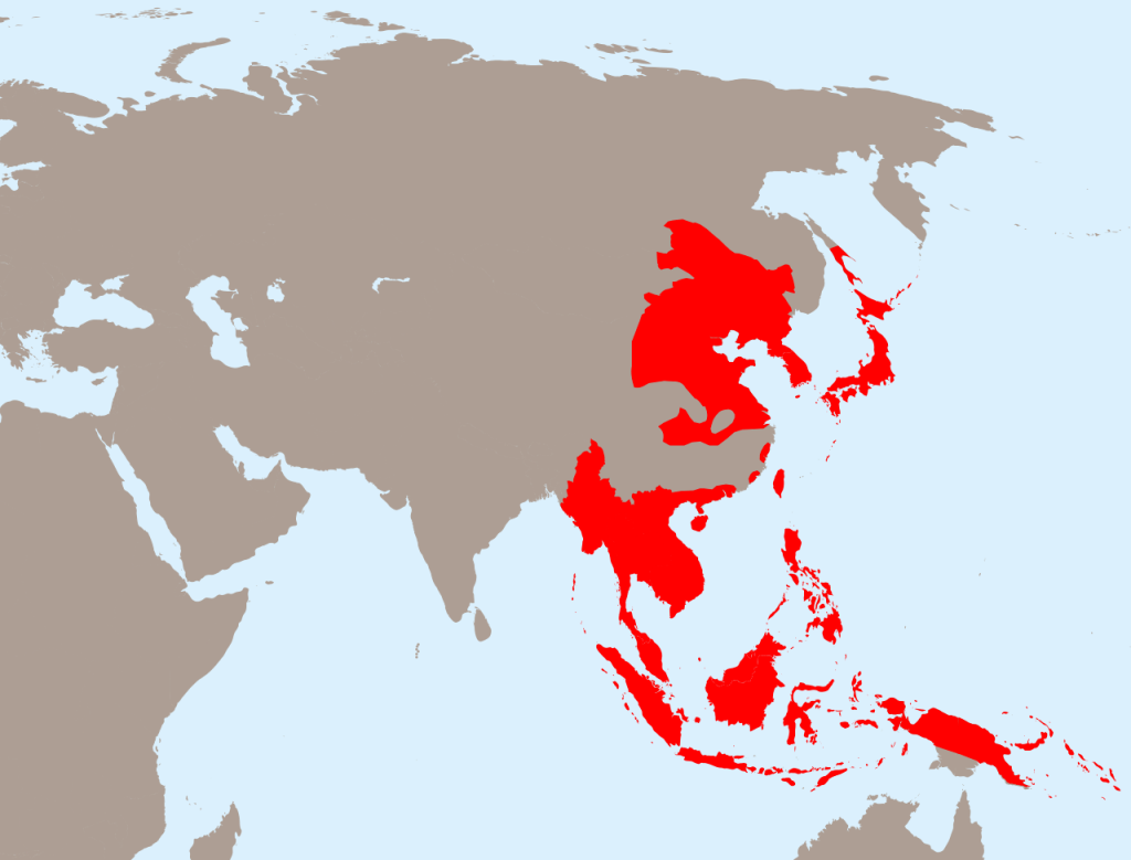 A solid shaded map of Asia and East Africa, the areas considered the Greater East Asia Co-Prosperity Sphere are in bright red.