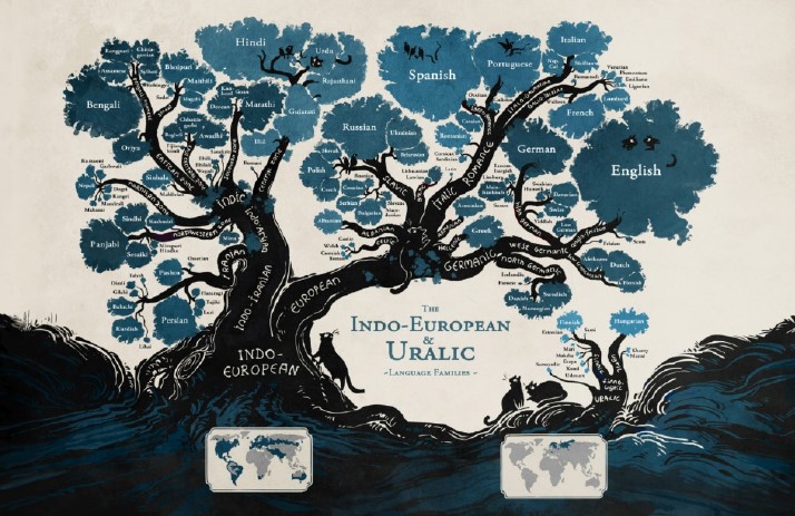 Model of a language tree with branches and puffs of leaves labeled with the relationships of the language to the trunk (labeled "Indo-European") of the tree.