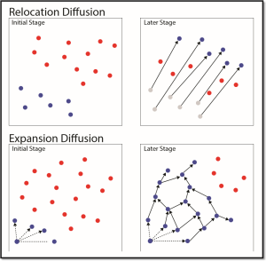 Relocation and expansion diffusion.2 