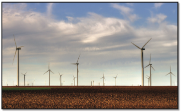 Photograph of a flat, brown plain with a scattering of wind turbines as far as the eye can see.