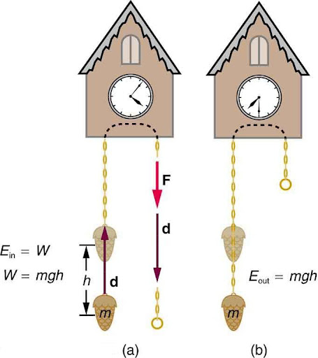 (a) The weight attached to the cuckoo clock is raised by a height h shown by a displacement vector d pointing upward. The weight is attached to a winding chain labeled with a force F vector pointing downward. Vector d is also shown in the same direction as force F. E in is equal to W and W is equal to m g h. (b) The weight attached to the cuckoo clock moves downward. E out is equal to m g h.