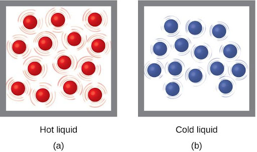 Two molecular drawings are shown and labeled a and b. Drawing a is a box containing fourteen red spheres that are surrounded by lines indicating that the particles are moving rapidly. This drawing has a label that reads “Hot liquid.” Drawing b depicts another box of equal size that also contains fourteen spheres, but these are blue. They are all surrounded by smaller lines that depict some particle motion, but not as much as in drawing a. This drawing has a label that reads “Cold liquid.”