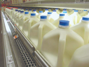 A photograph of a milk display in a grocery store.