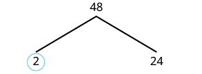 Factor tree of 48 showing 1 level of factors: 2 and 24.