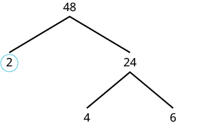 Factor tree of 48 showing first level of factors: 2 and 24. Second level of factors of 24 is 4 and 6.