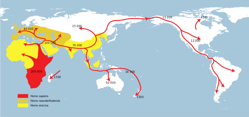 Map showing how homo sapiens migrated from Mesopotamia around the globe.