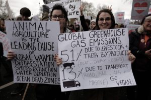 This image shows protestors against animal agriculture.