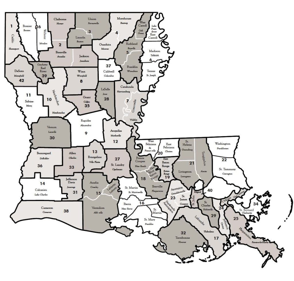 A picture of the state of Louisiana depicting the different district court jurisdictions.