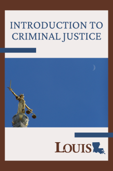 CCRJ 1013: Introduction to Criminal Justice book cover